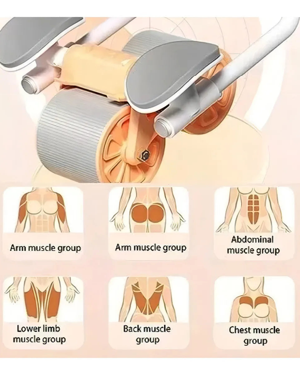 Rueda Abdominal Auto Rebote | Entrenamiento Inteligente